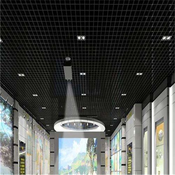 廣東金騰達(dá)氟碳鋁格柵廠家 (4)